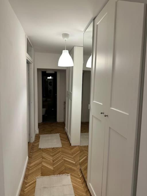 טימישוארה Simba Residence מראה חיצוני תמונה